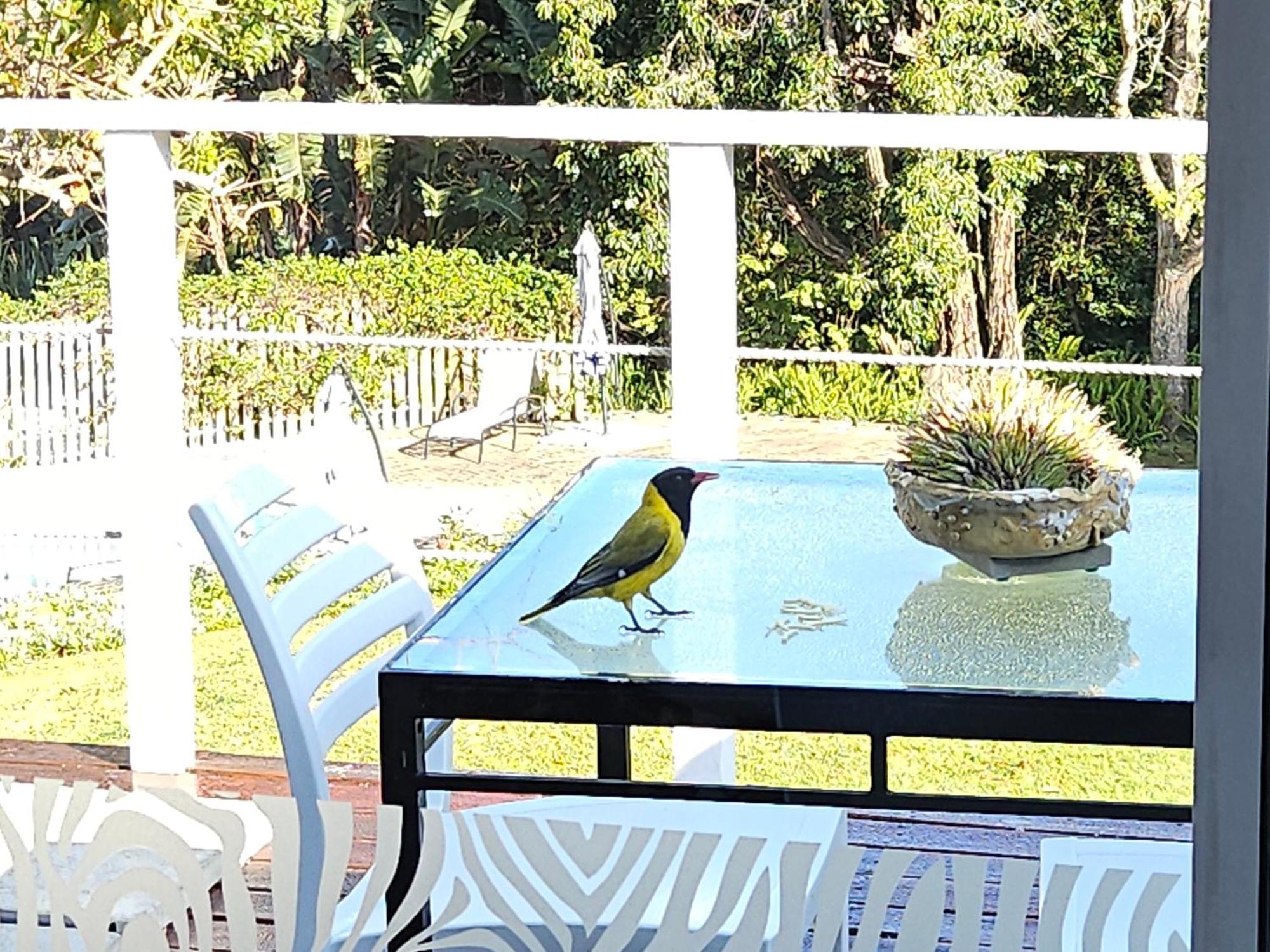 Stannards Guest Lodge 4 Star B&B, Knysna Eksteriør bilde