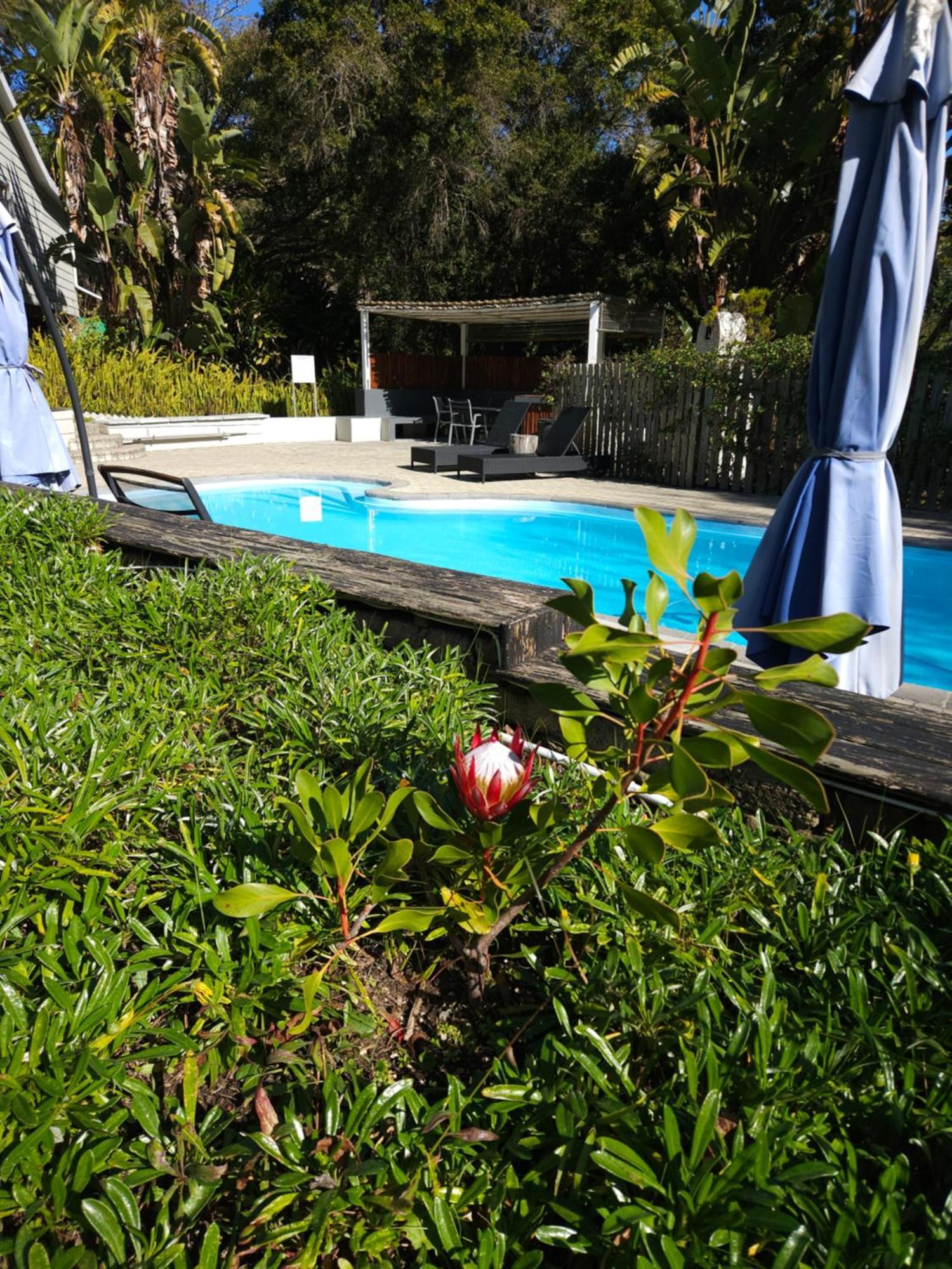 Stannards Guest Lodge 4 Star B&B, Knysna Eksteriør bilde